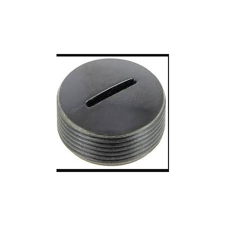 B422 - Bouchon de charbon ponceuse à bandes Ryobi